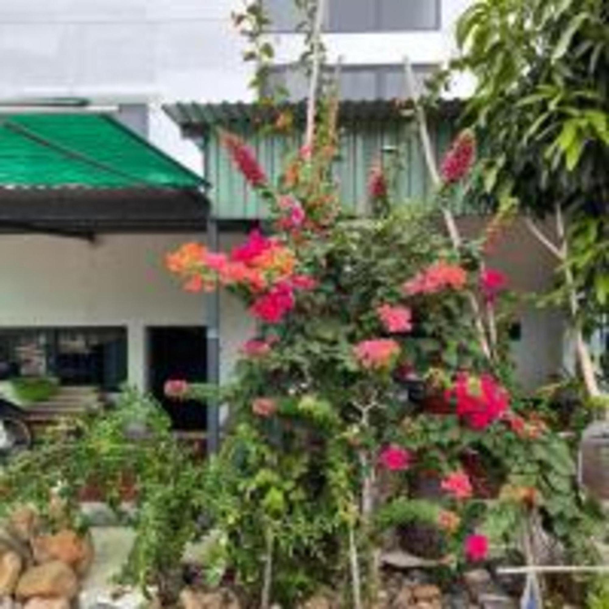 Duc Luu Quang Hotel Binh Thuan Tuy Phong Exterior foto